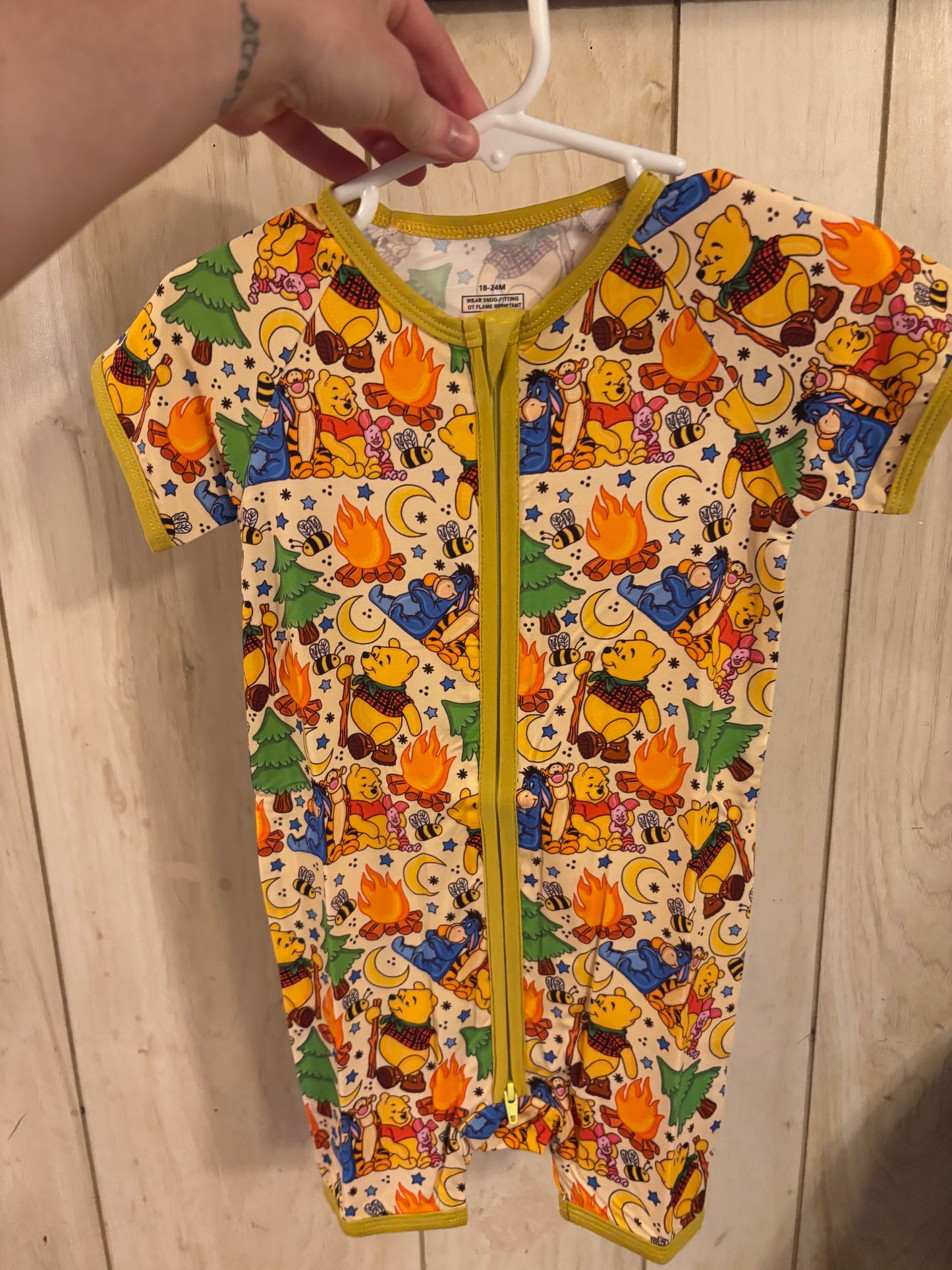 Winnie the Pooh campfire