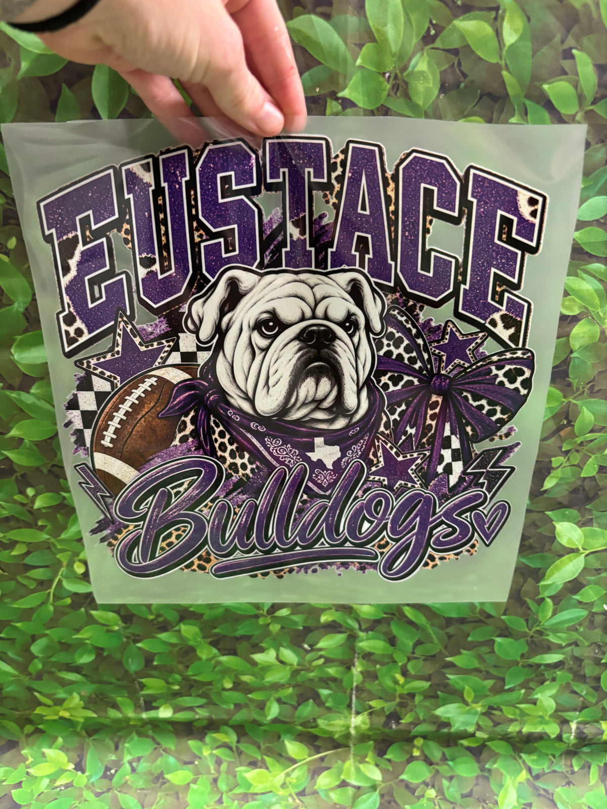 Eustace bulldogs with football