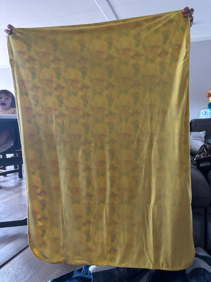 Toy Story cartoon blanket